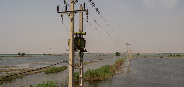 Birds on a distribution line in flooded area
