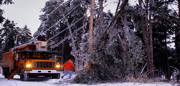 Truck roll repairing down powerline due to fallen frozen tree branch