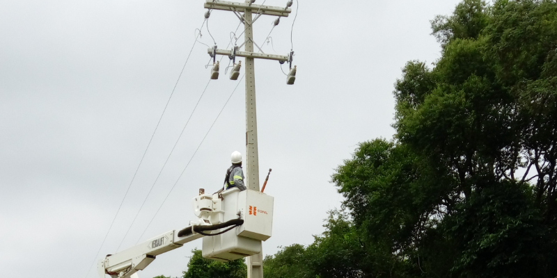The COPEL team installs TripSaver II reclosers.

