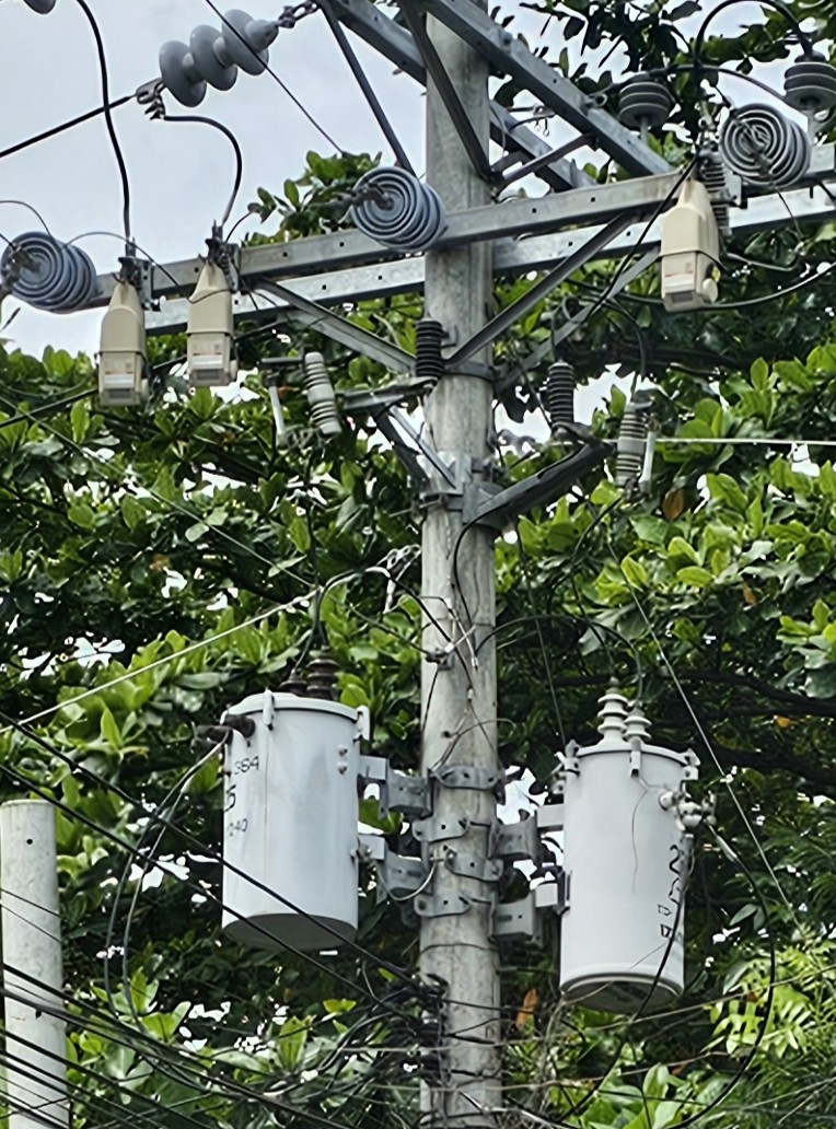 TripSaver II Cutout-Mounted Recloser surrounded by trees