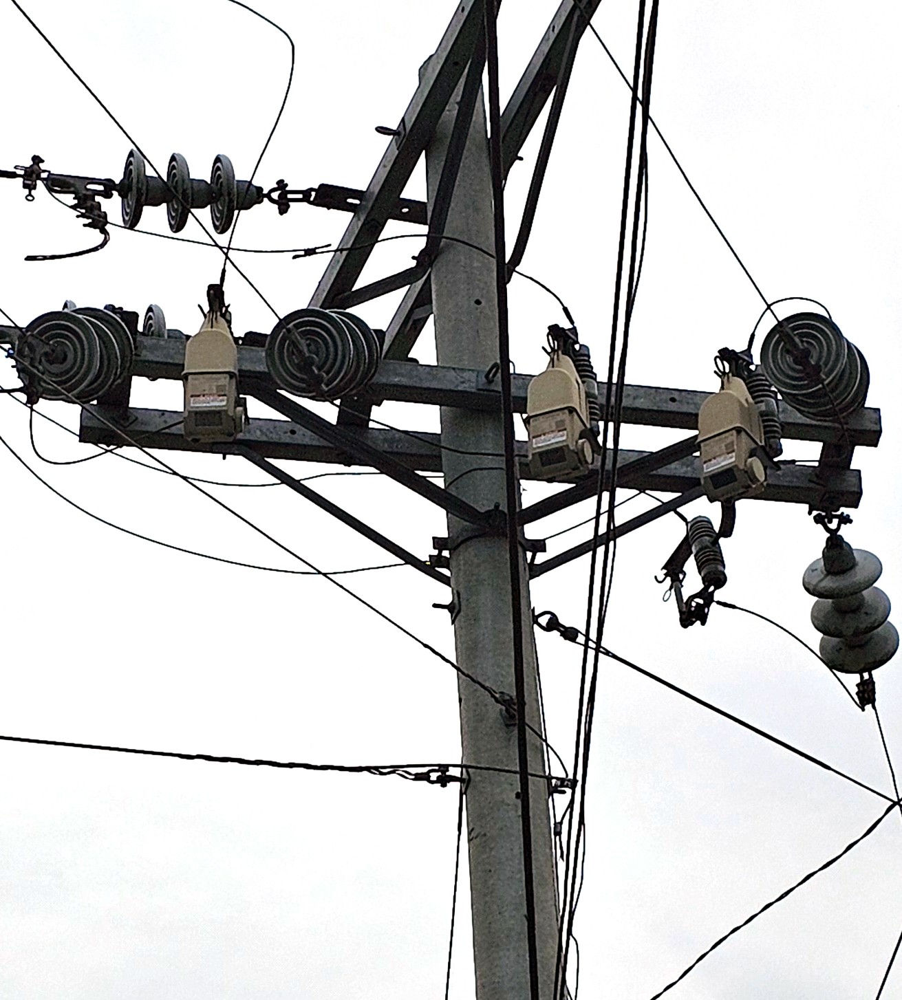 TripSaver II reclosers installed on Davao Light and Power Company&rsquo;s network.