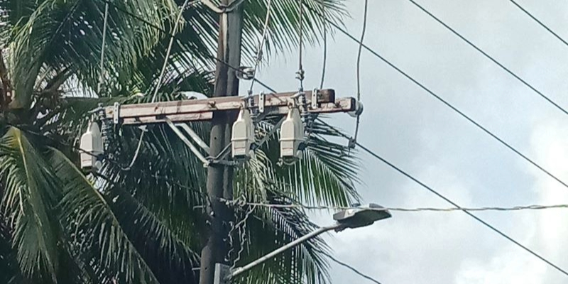 Tripsaver II recloser helping PUC prevent nuisance outages caused by common problems, such as vegetation overgrowth