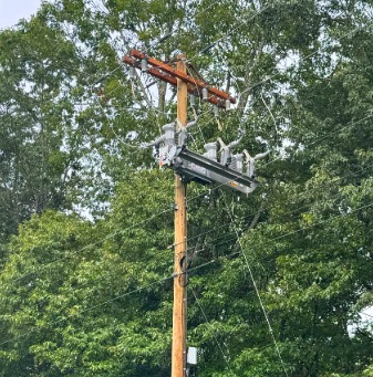 Tripsaver II recloser with trees in the background