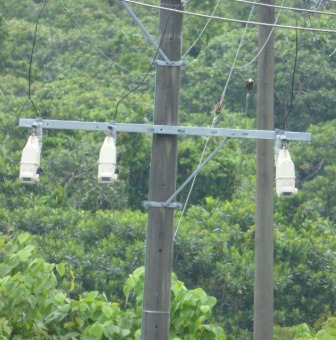 Tripsaver II recloser in a tropical area