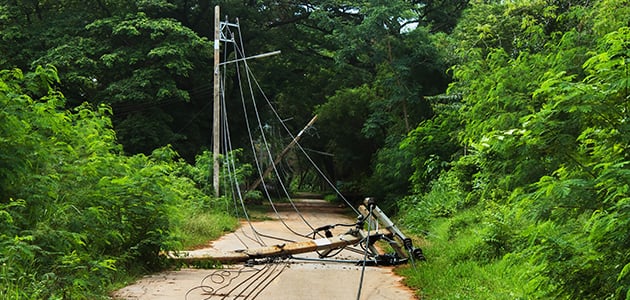 Fallen Power Lines