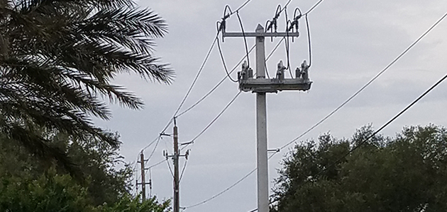 Líneas eléctricas durante el huracán