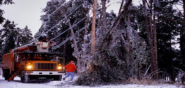 Truck roll repairing down powerline due to fallen frozen tree branch