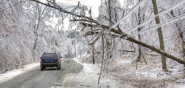 Línea eléctrica caída debido a la caída de una rama de árbol durante el invierno