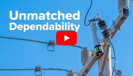 Stop nuisance outages with the VacuFuse &reg; II Self-Resetting Interrupter